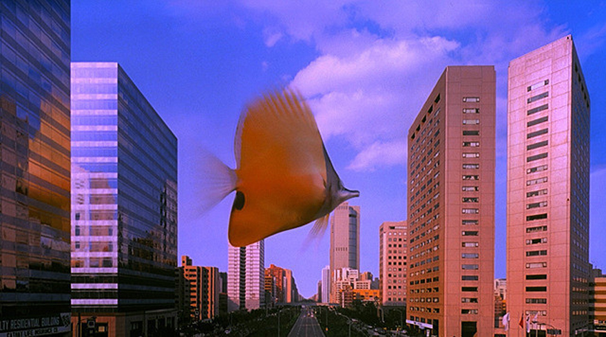 『熱帯魚』デジタルリマスター版