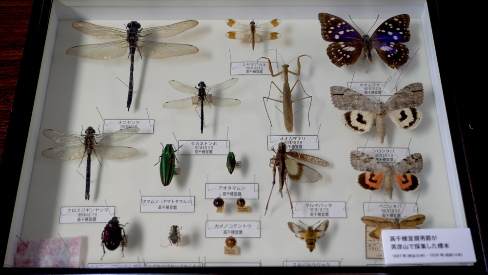 九州大学彦山生物学実験施設