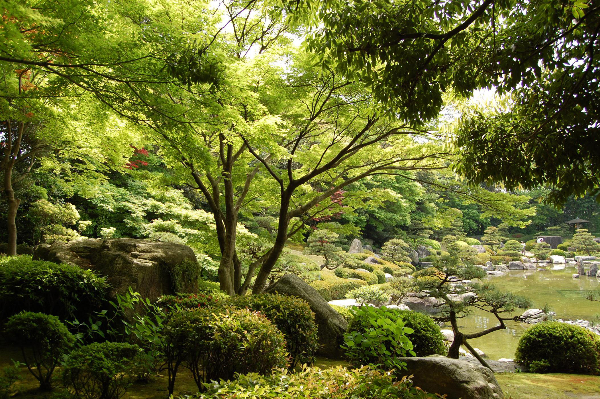 大濠公園日本庭園